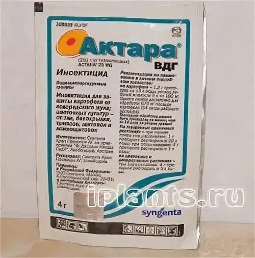 Опрыскать актарой осенью можно