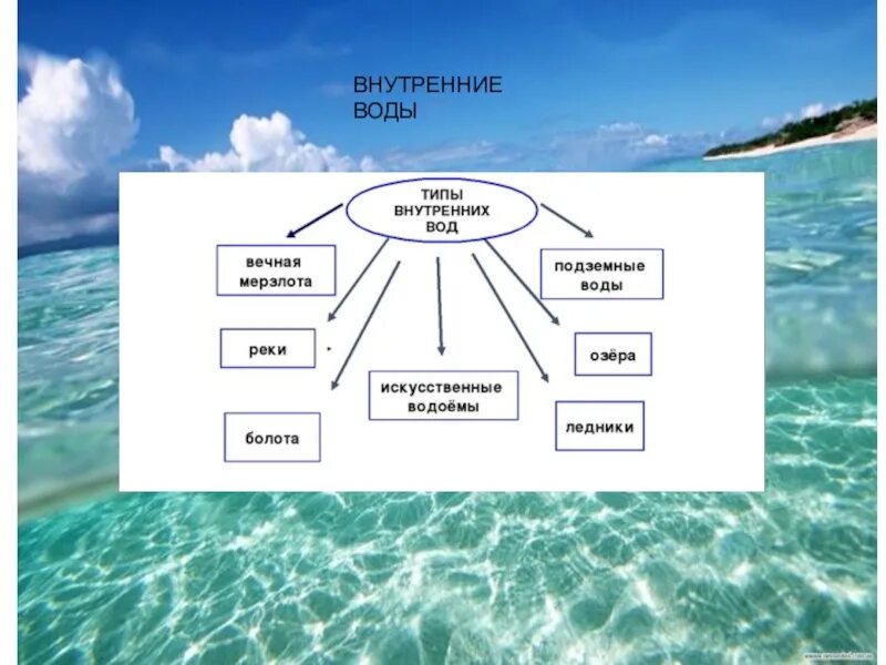 Внутренние воды. Типы внутренних вод. Внутренние воды схема. Внутренний. Схема внутренних вод