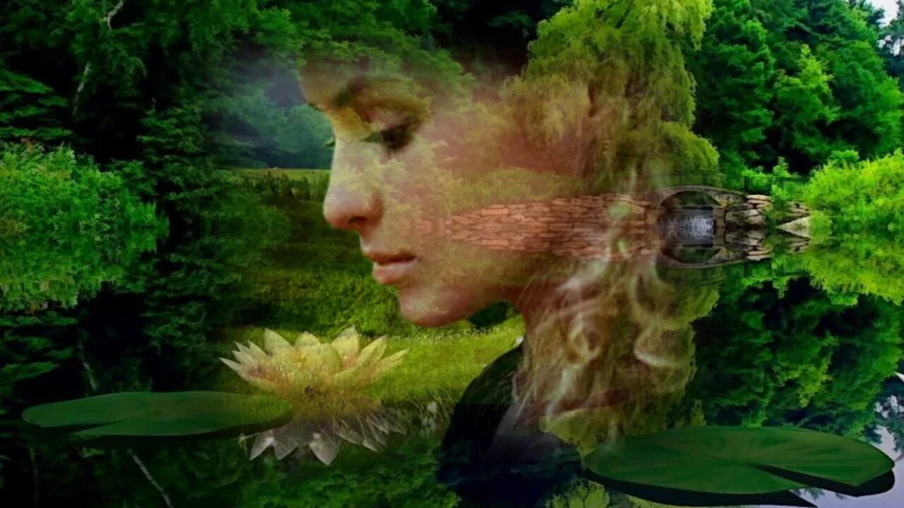Плакала ива ива падала. Паутов горько плакала Ива. Песня горько плакала Ива. Ива плачет плачет. Песннягорькоплакалаива.