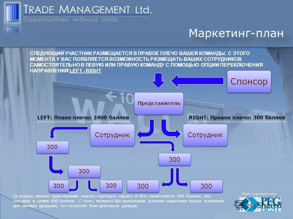 вопрос. вопросы кодификатора по обществознанию экономика. причины расширения торговли в средние века. особенности маркетинга в розничной торговле. стандарты мерчандайзинга в магазине продуктов.