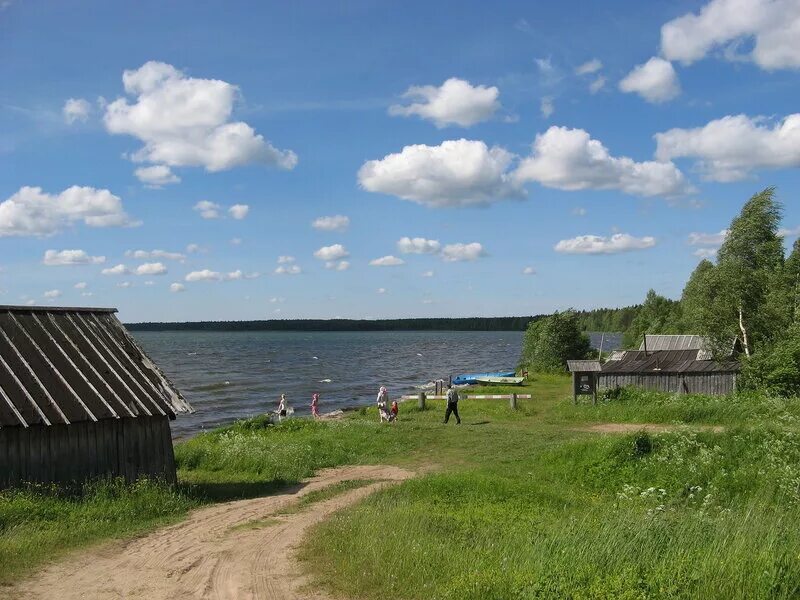 Каргополь Вершинино. Озеро Лекшмозеро Архангельская область. Деревня Морщихинская Каргопольского района. Деревня Орлово Каргопольский район Архангельская. Погода в вершинино алтайский край