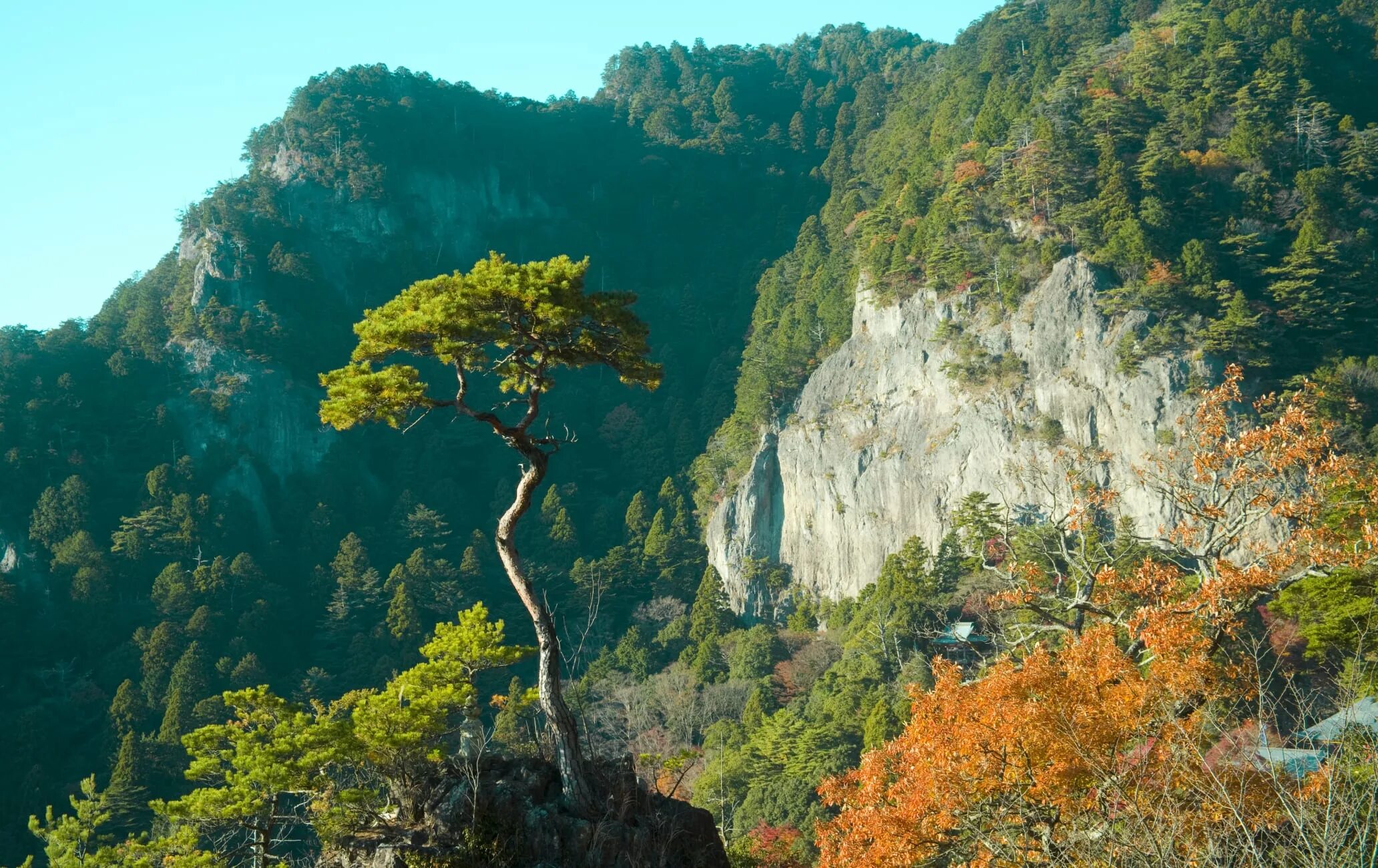 Гора Хорай. Гора Хорай легенды Японии. Фото хорая. Хорайдзи Кьюсе.