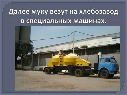 На элеватор привезли 146 машин зерна