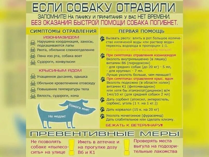 Отравление мышиным