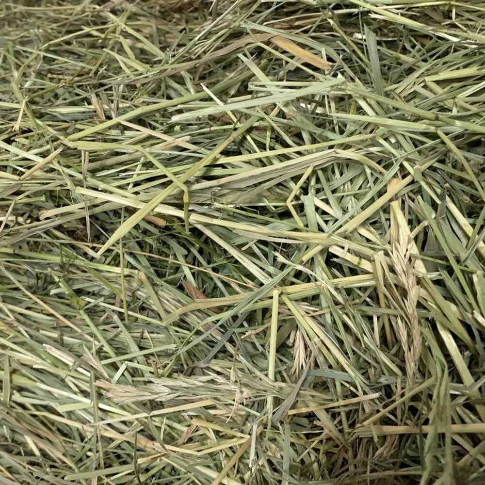 Солома пшеничная тюк (20 кг). Сено луговое разнотравие тюки. Jr farm сено луговое с яблоками, 500 гр, арт. Сено (клевер+люцерна) 1 тюк. Солома пшеничная тюк (20 кг).