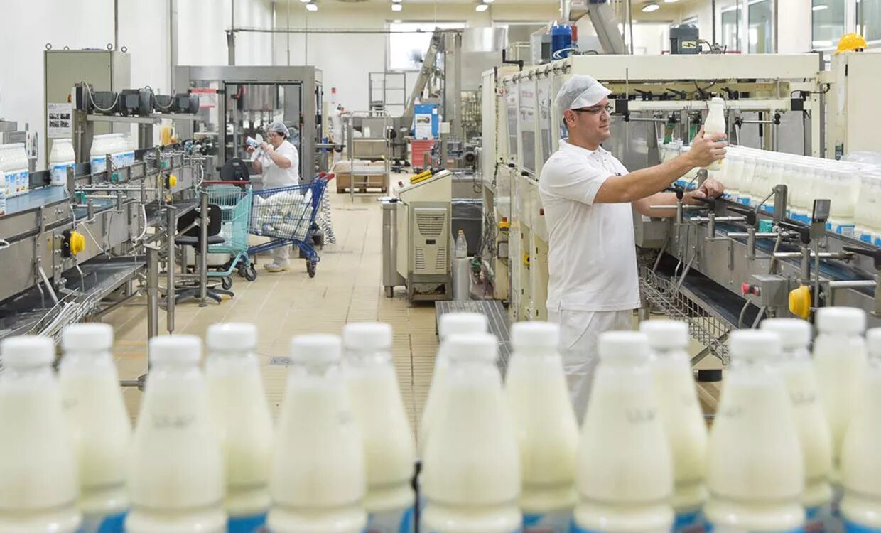 Ньюс молочный. Саянмолоко завод. Цех молочной продукции. Молочная фабрика. Фабрика молочных продуктов.