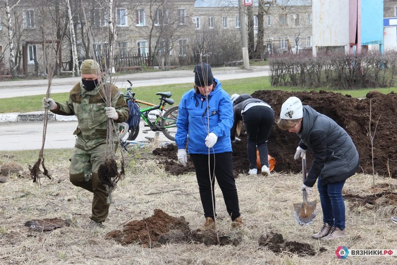 Помощь вязники. Вязники наш город. наши вязники. велосообщество вязники. вязники наш город вязники подслушано.