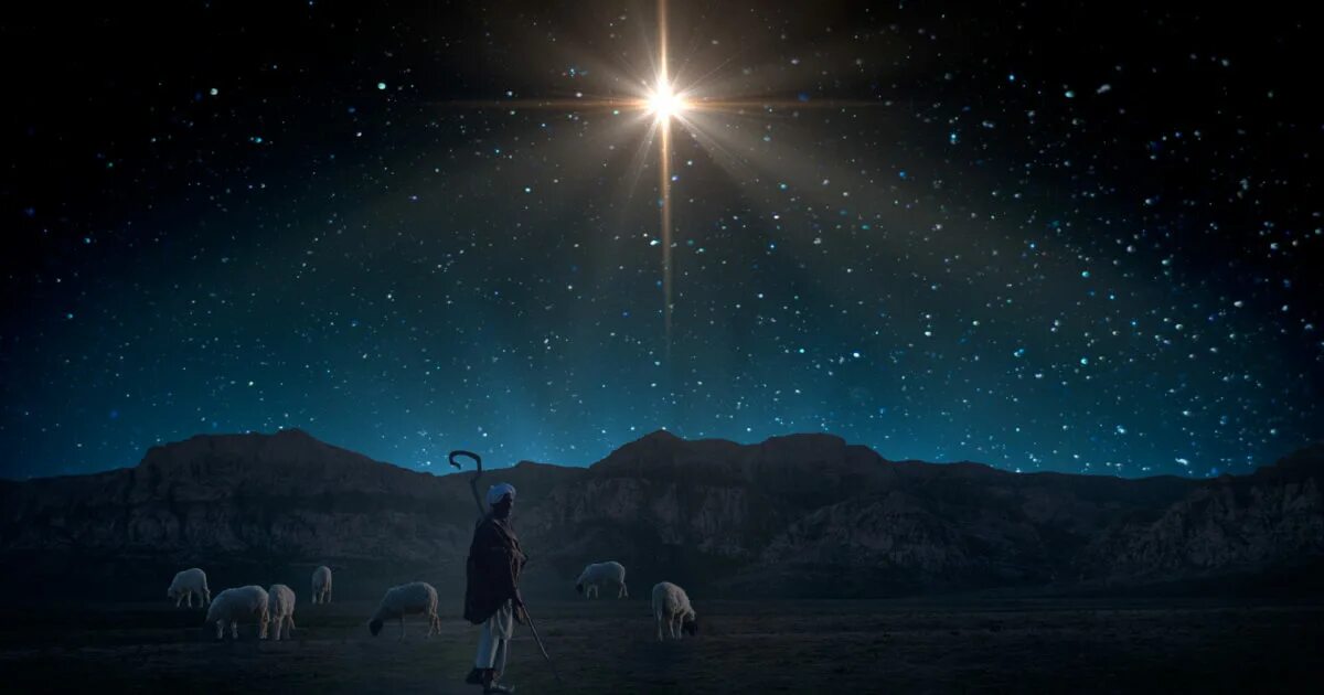 Above the stars in the field. Bethlehem star. логотип bethlehem. shape of the nativity bethlehem. star over bethlehem and other stories.