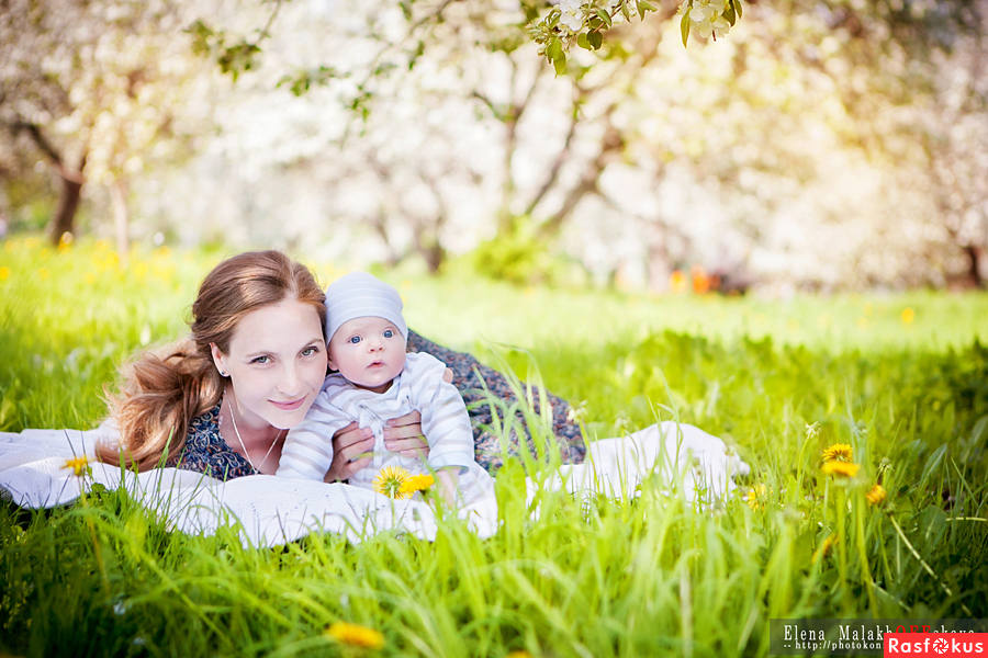Фотосессия семьи на природе. Семейная фотосессия. Фотосессия с детьми на природе. Детская фотосессия на природе летом. Фотосессия с детьми на природе.