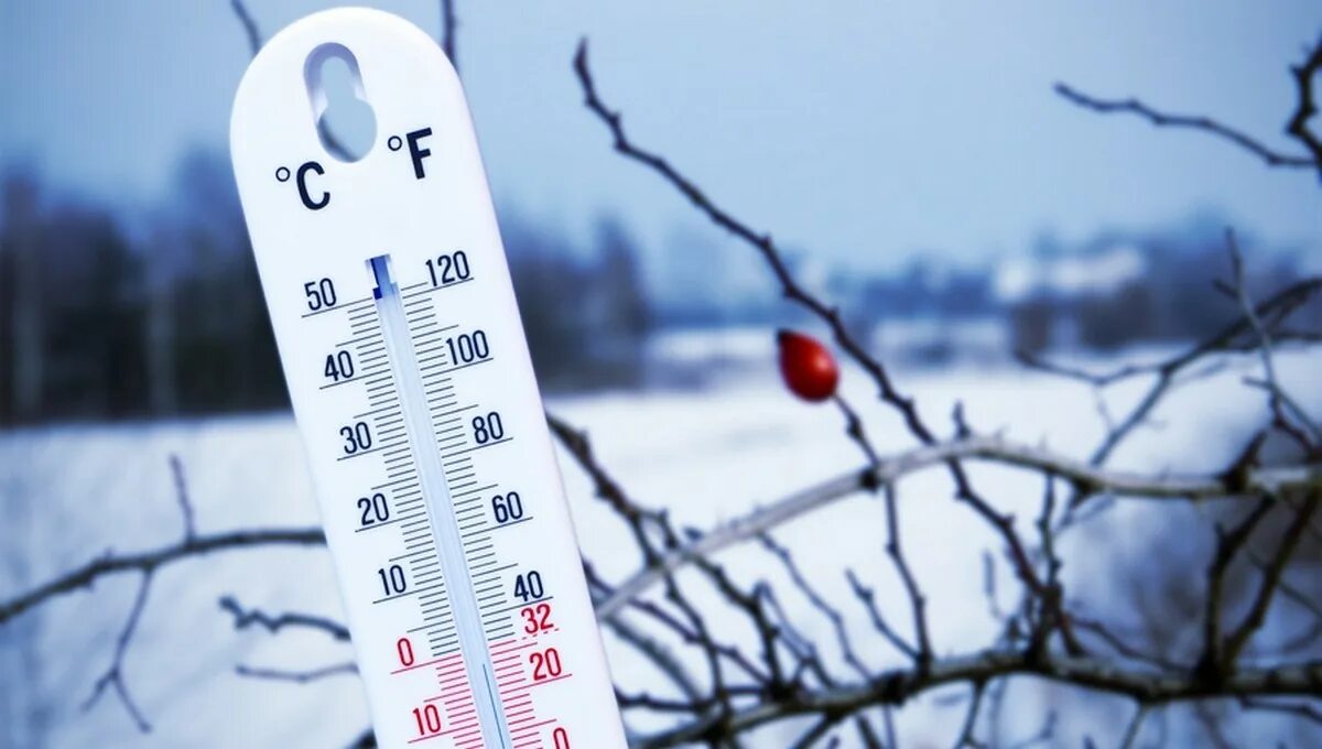 Измерение углов градусы в минуты и секунды. Уклон 1 промилле в градусах. Термометр для растений. Угол 15 градусов. Значение косинусов и синусов таблица в градусах.