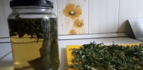 Какие травы при отравлении