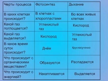 Время слова дышит