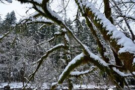 Водопады в снегу (Норт-Бенд, CША)