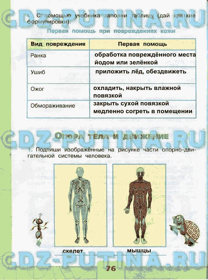 Окр мир стр 77. Окружающий мир 3 класс рабочая тетрадь 1 часть стр 75-76. Окружающий мир 3 класс рабочая тетрадь стр 6 Плешакова 1 часть. Окружающий мир 3 класс 1 часть рабочая тетрадь страница 75 и 76. Окружающий мир 3 класс рабочая тетрадь 1 часть Плешаков стр 75 ответы.