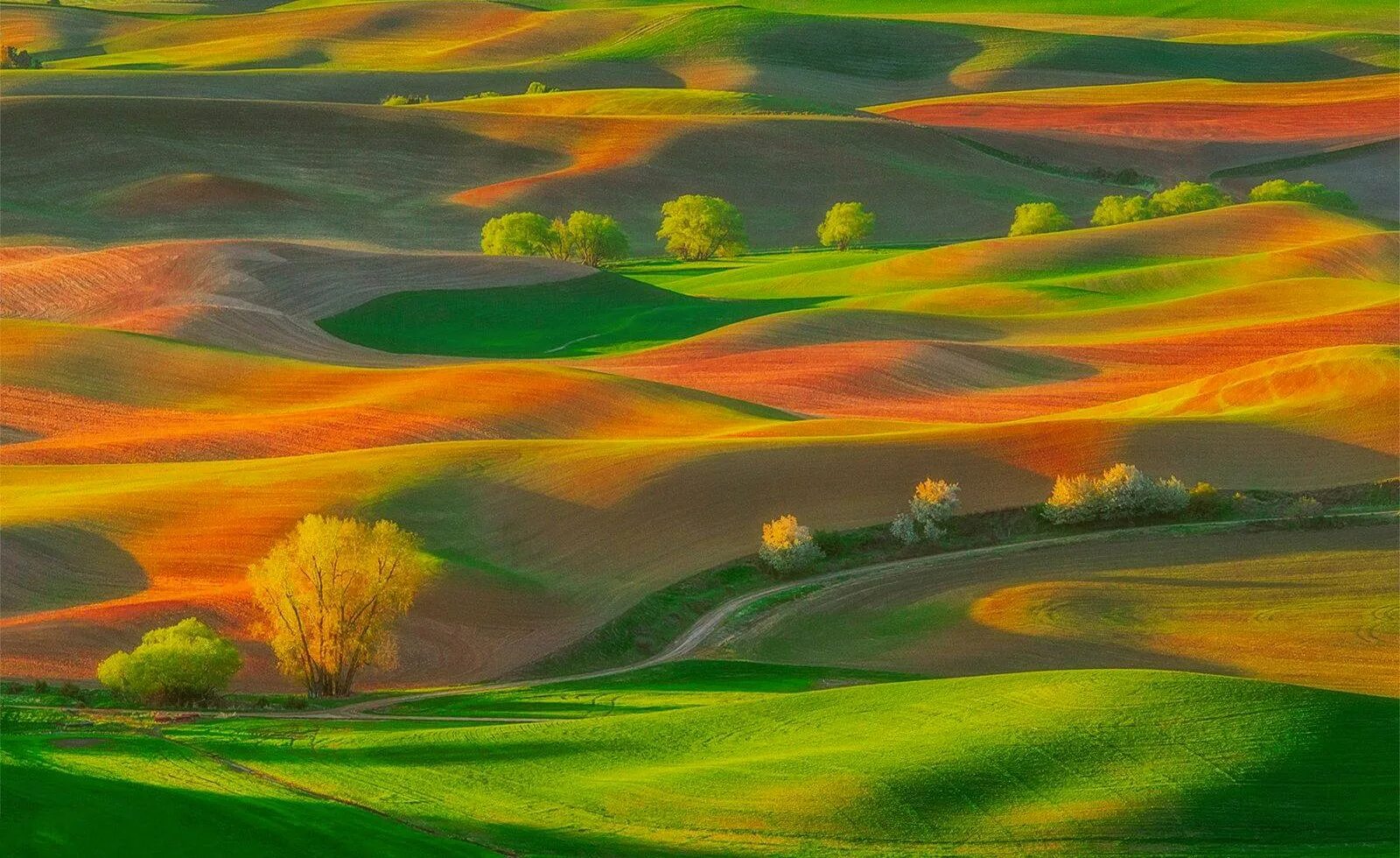 Холмы Palouse, США. Зелёные холмы Гринфилд. Абстрактный пейзаж. Пейзаж холмы.