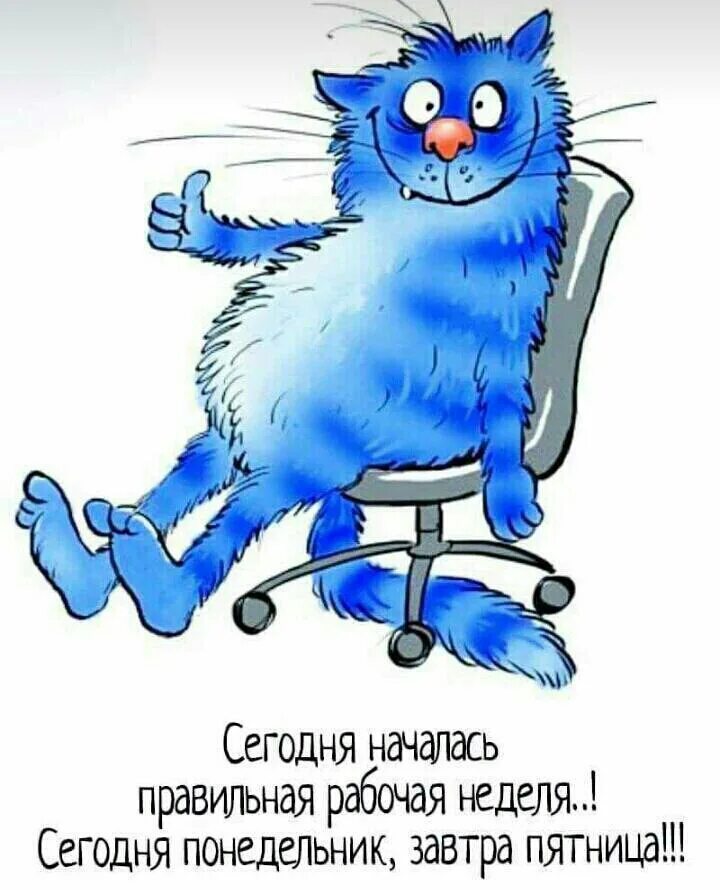 Рабочая неделя будет 2 дня. Синие коты. Синий кот с надписями. Синие коты с надписями. Синие коты понедельник.