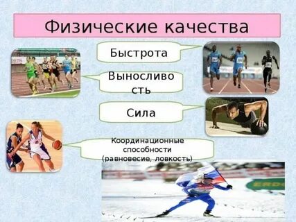 Под качеством ловкость понимают