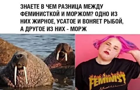 Я никогда не стану феминисткой песня текст