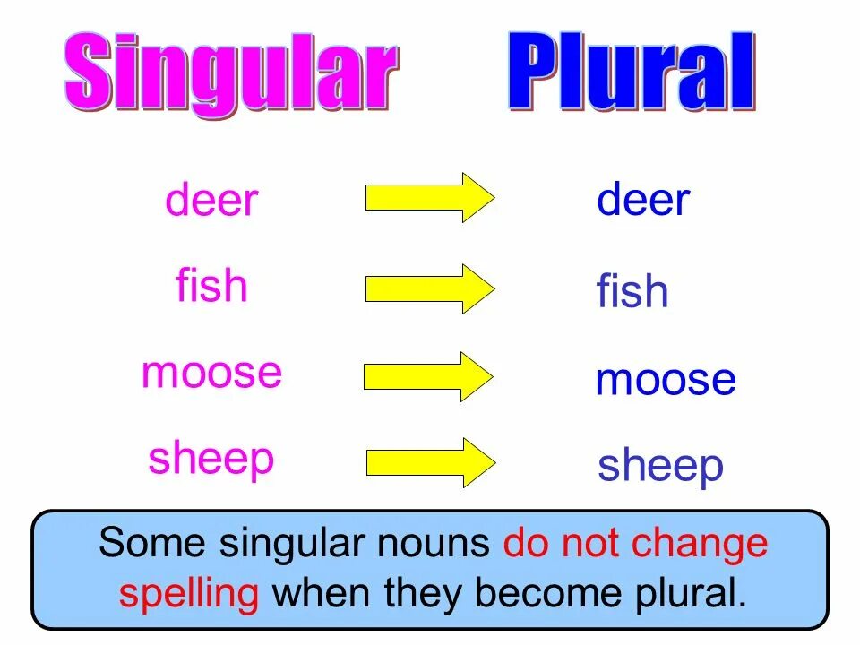 The correct plurals