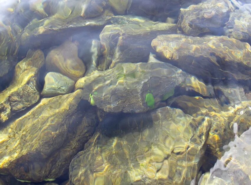 Воды байкала чисты и прозрачны. Вода Байкал. Байкал прозрачность воды. Чистая вода Байкала. Байкал чистота воды.