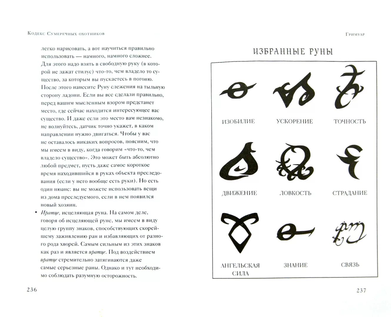 Книга руны Сумеречных охотников. Кассандра Клэр кодекс Сумеречных охотников. Кодекс Сумеречных охотников руны. Серая книга Сумеречных охотников. Сапфиров кодекс охотника 15