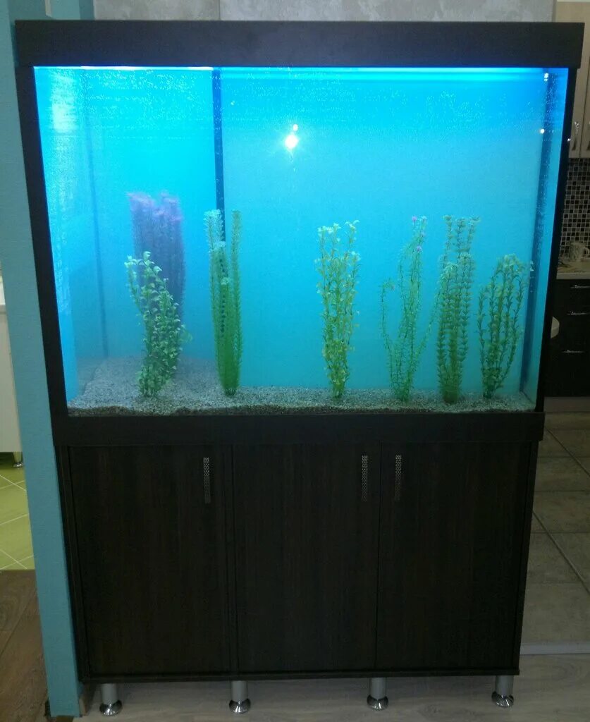 Аквариум ссб-аква 180. Аквариум в офисе. Аквадизайнер. Петрозаводск океанариум. Аквариум ссб-аква 320.