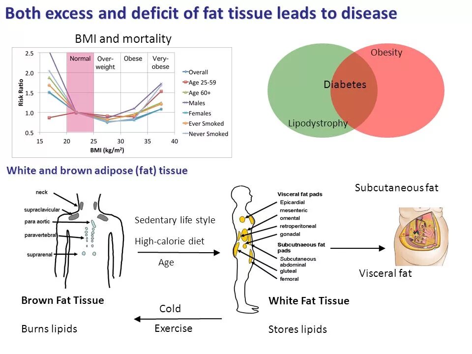 Cold burns. Cold burns. Cold burns. Cold burns. Echo burning audiobook.