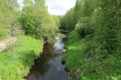 Река была не широка