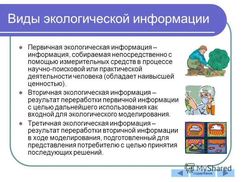 Проблемы информатики в школе