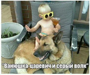 Новейшие смешные картинки до слез