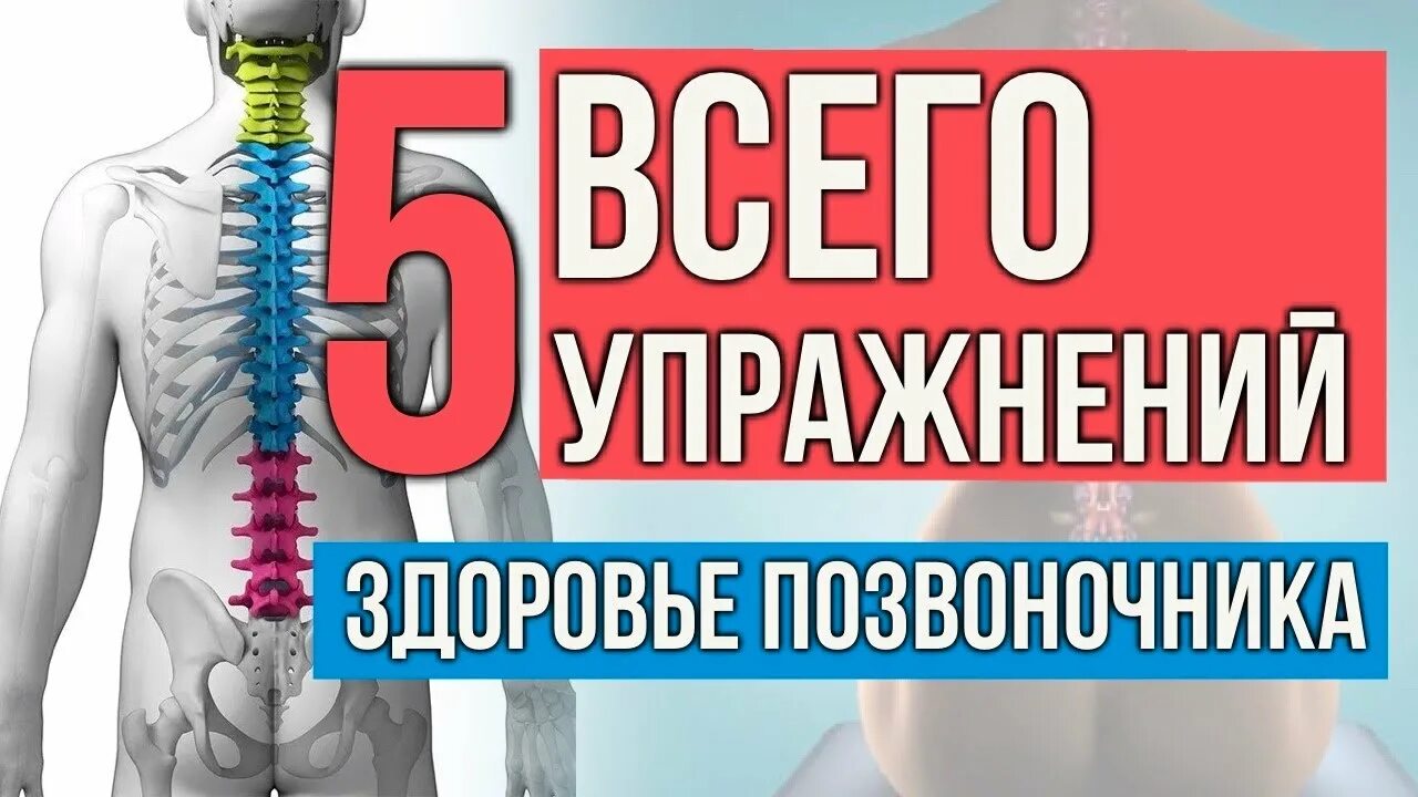 Здоровая спина. Здоровый позвоночник всего за 12. У меня здоровый позвоночник. Марафон здоровая спина. Здоровье спины и позвоночника.