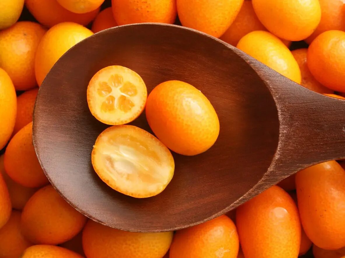 Апельсины ритуал. Кумкват апельсин. Китайский апельсин. Маленький желтый фрукт. Китайские фрукты апельсины.