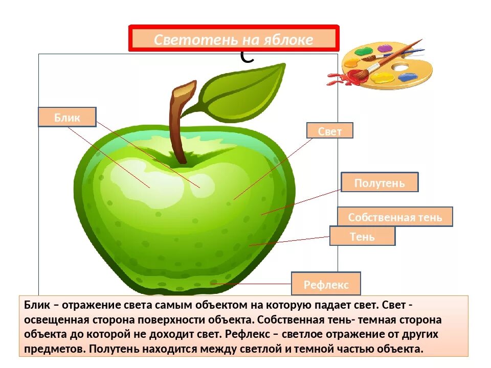 Яблоко какой предмет. Яблоко светотень. яблоко свет и тень. яблоко свет блик тень полутень. рефлекс на яблоке.