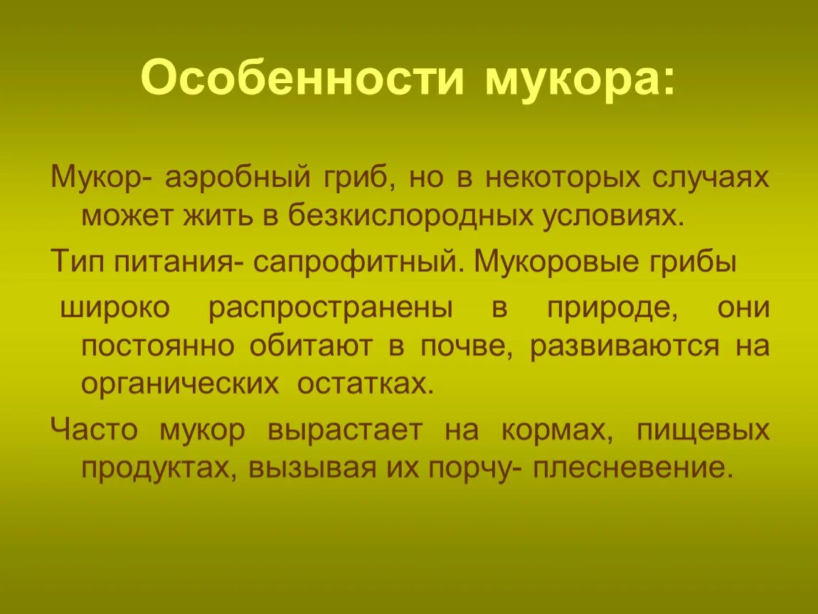 Признаки грибов мукор. Тип питания мукора. Грибы широко распространены в почве. Мукоровые заболевания. Мукор характеристика.