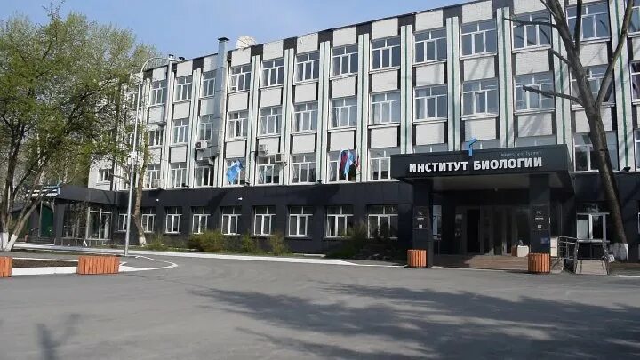 Мгу биологический факультет ленинские горы. Ивановский государственный университет биологический факультет. Черноморский университет анкара. Кафедра биофизики мгу биологический факультет. Мгу огарева факультет биотехнологии и биологии.
