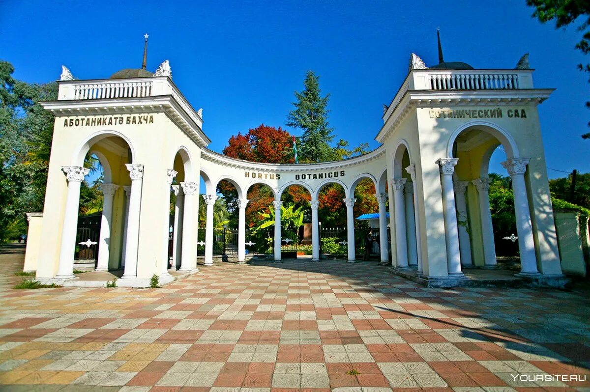 Ботанический сад Абхазия Сухум. Сухумский Ботанический сад Сухум. Ротонда Сухуми. Абхазия столица Сухум.