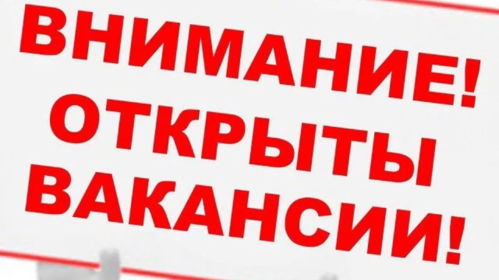 Вакансия новые на сегодняшний день. Внимание вакансия. Открыта вакансия. Внимание открыты вакансии. Приглашаем на работу.