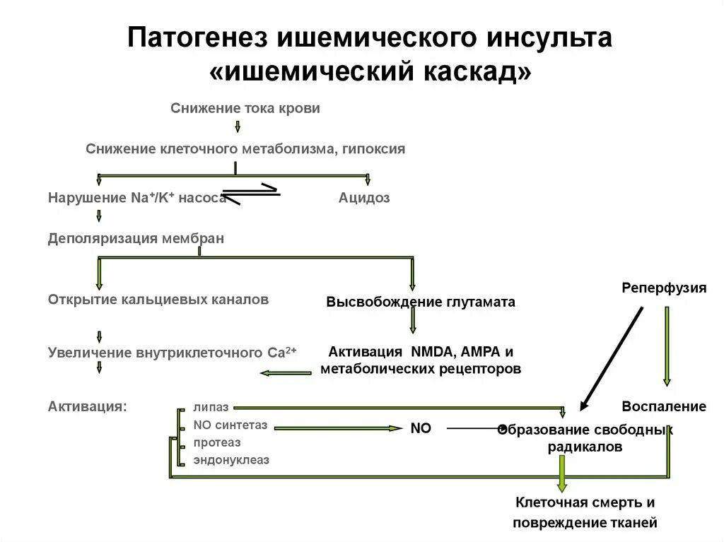 Механизмы развития ишемии. Механизм развития ишемического инсульта. Геморрагический инсульт патогенез схема. Патогенез ишемического повреждения головного мозга. Патогенез инсульта патофизиология.