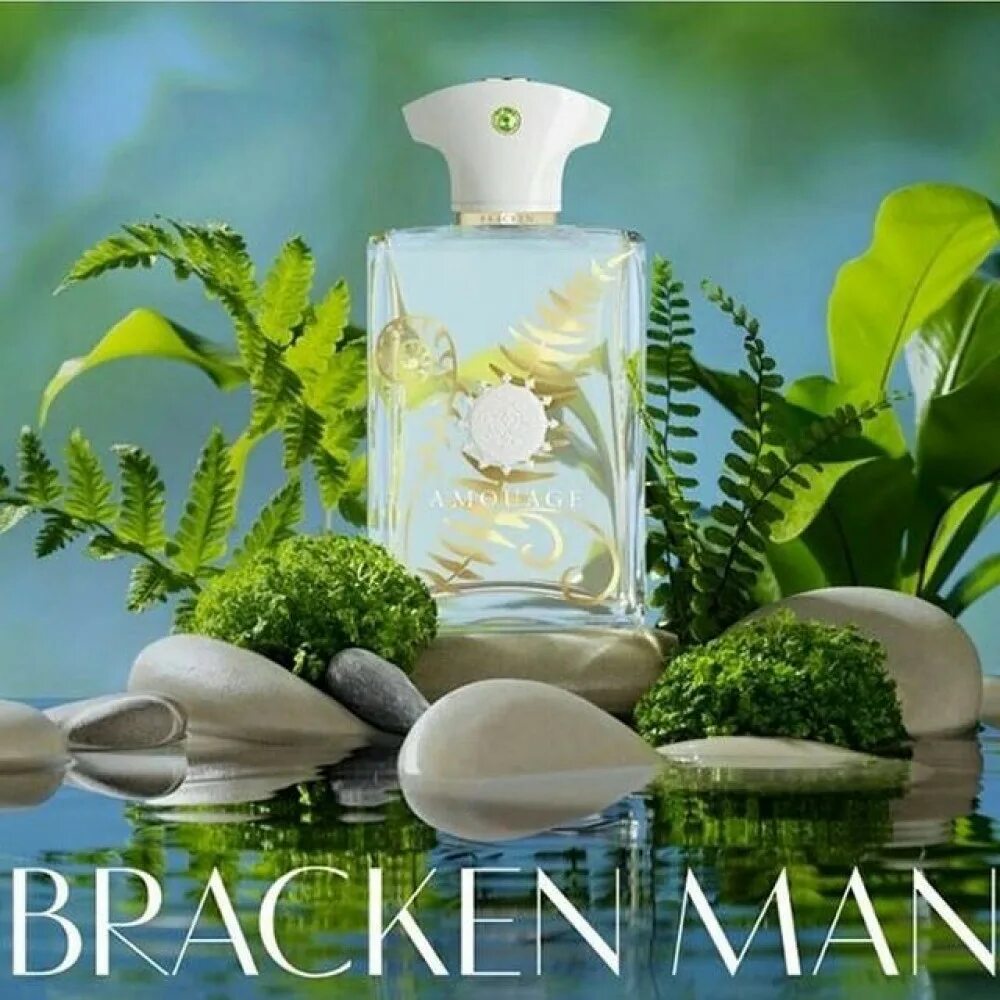 Что такое фужерный аромат в парфюмерии. Amouage bracken man. амуаж папоротник. фужерные духи. фужерные / папоротниковые ароматы.