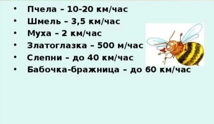 Полет осы расстояние. Скорость мухи. Скорость полета мухи. Скорость насекомых. Скорость полета насекомых.