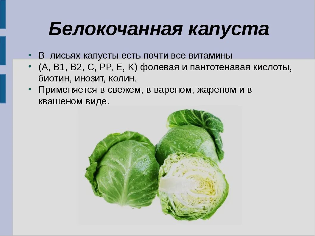 Витамин с 100 гр белокочанной капусты. Витамины в капусте белокочанной. Какие витамины содержатся в капусте. Какие витамины содержатся в капусте белокочанной.