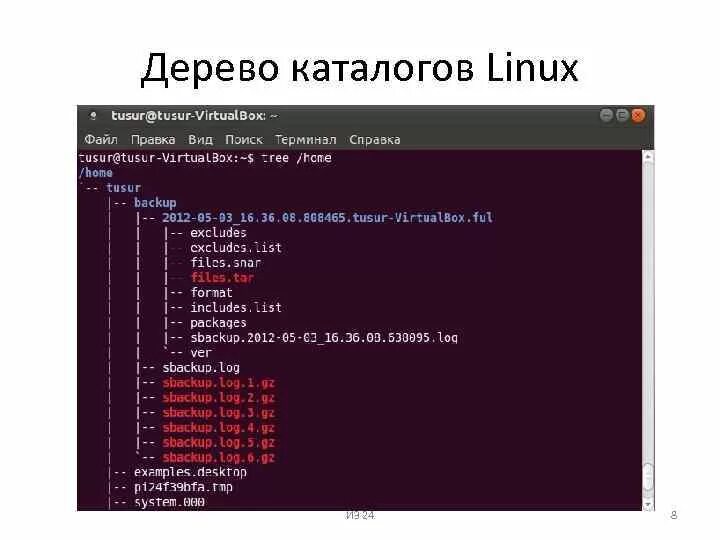 Вывод содержимого файла на экран. Дерево каталогов линукс. Структура корневого каталога Linux. Дерево каталогов. Структура каталогов Linux.