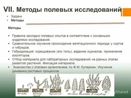 Полевой метод в биологии
