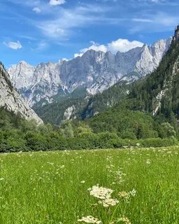 Альпам на русском языке