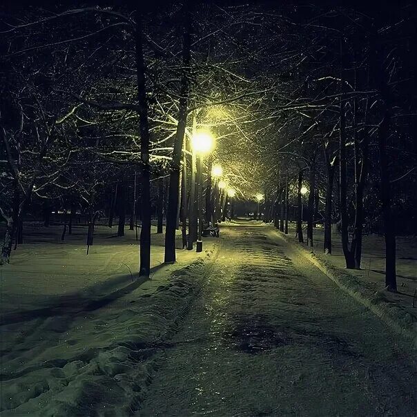 Улица зимой ночью. Зимний парк ночью. Ночная зимняя улица. Темная зимняя улица. Темнота раннего зимнего