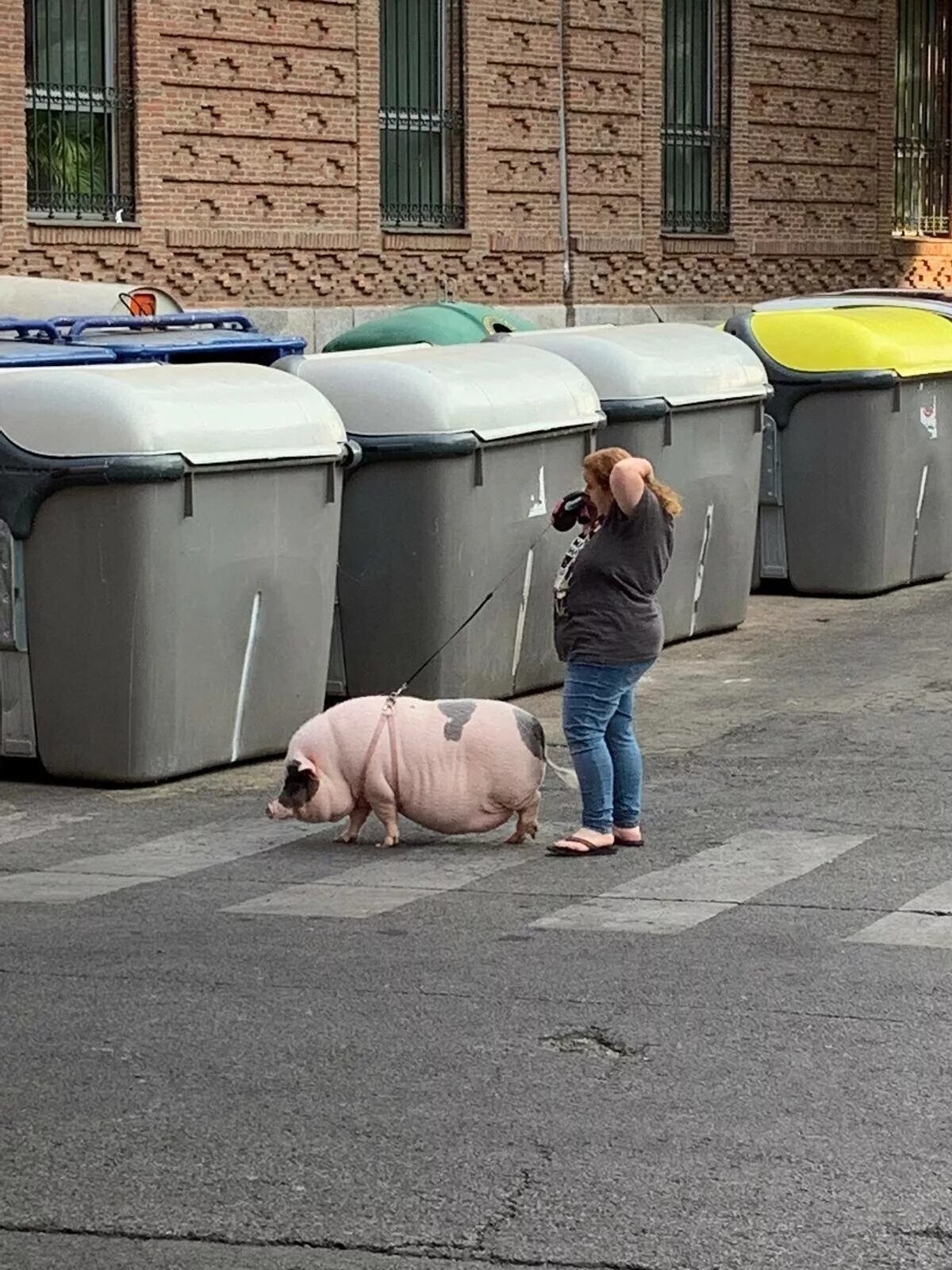 Анекдоты. Смех прикол. Остроумные карикатуры. Забавный забавен свежий свеж. Забавный забавен свежий свеж.