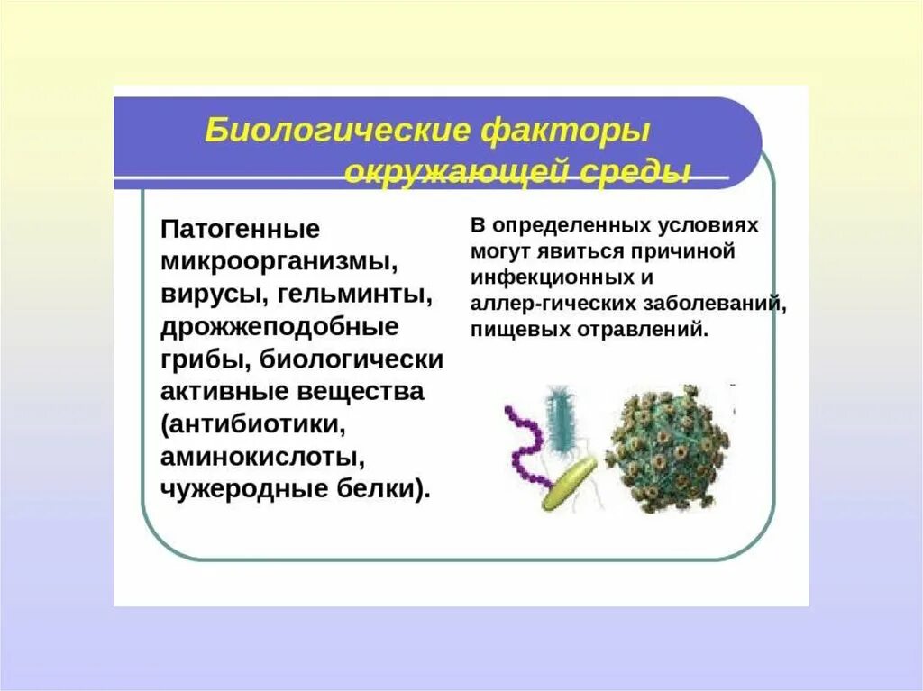 Условия распространения болезнетворных бактерий. Биологические факторы. Факторы в биологии. Биологические патогенные факторы. Патогенные микроорганизмы.