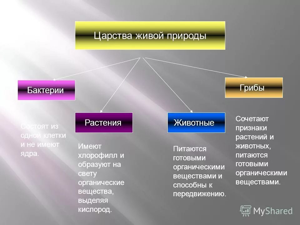 Царства живой природы ответы