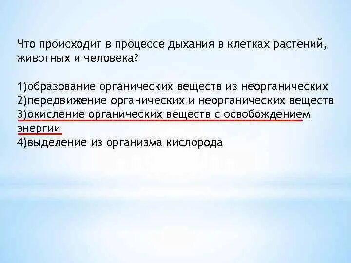 В каких клетках происходит процесс дыхания растений. Что происходит в процессе дыхания в клетках растений. Чир происходит в процессе дыхания. Что присходитв процессе дыхания.