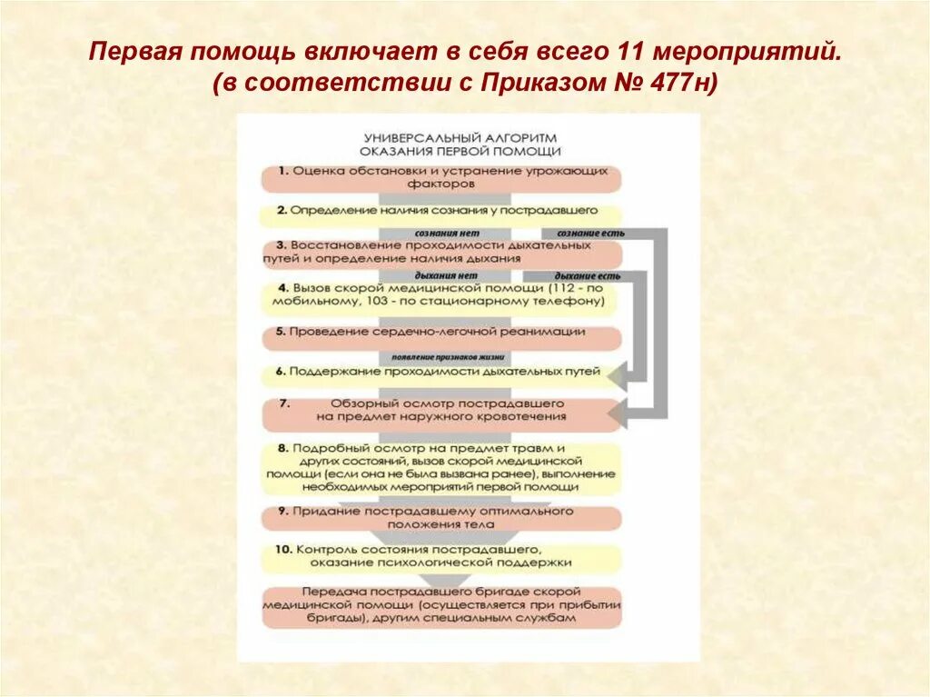 Приказ 477н статус. Первая помощь включает. Перечень мероприятий по оказанию первой помощи 477н. Мероприятия по оказанию первой помощи 477н. Мероприятия первой помощи включают.